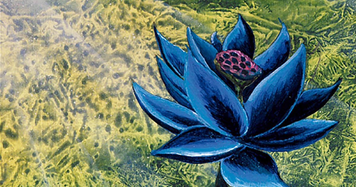 Introducing Spellbinder