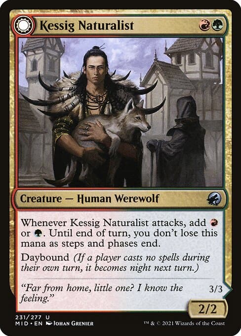Kessig Naturalist // Lord of the Ulvenwald (Uncommon)