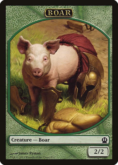 Boar (Common)