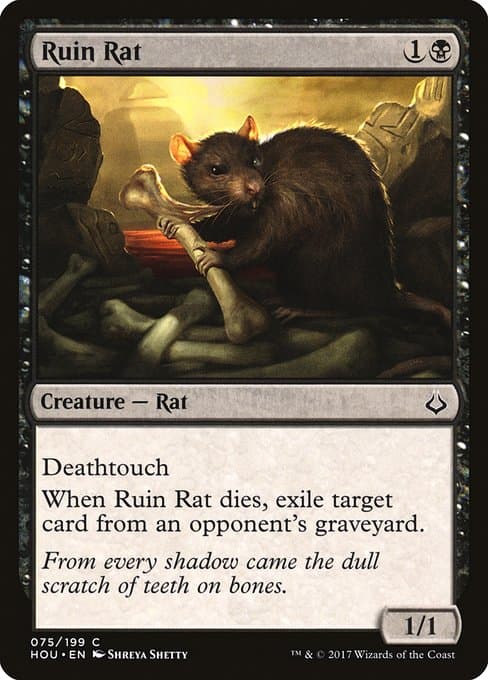 Ruin Rat (Common)