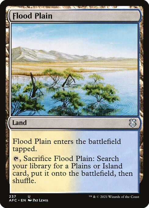 Flood Plain from Forgotten Realms Commander (Uncommon)