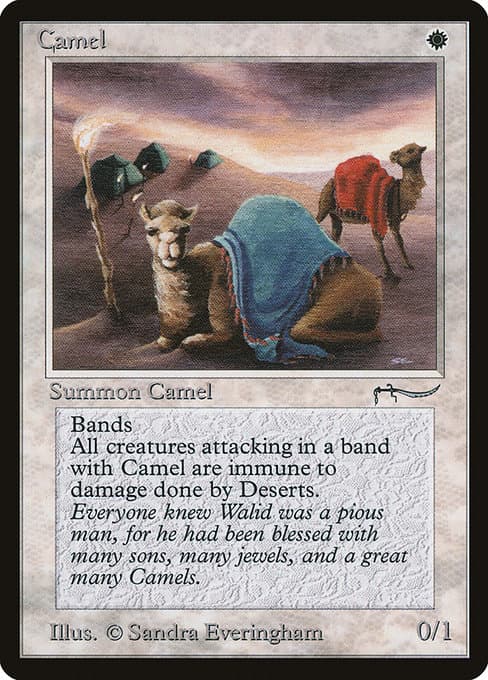 Camel (Common)