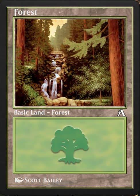 Forest (Common)