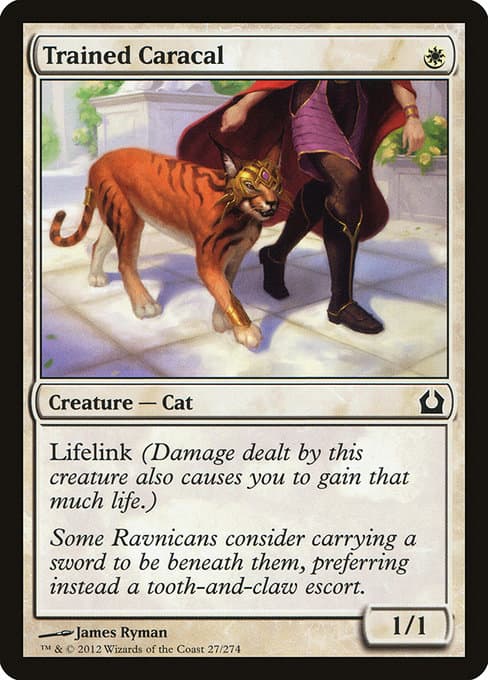 Trained Caracal from Return to Ravnica (Common)