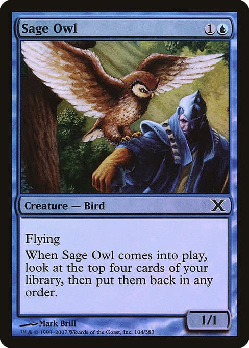 Sage Owl from Tenth Edition (Common)