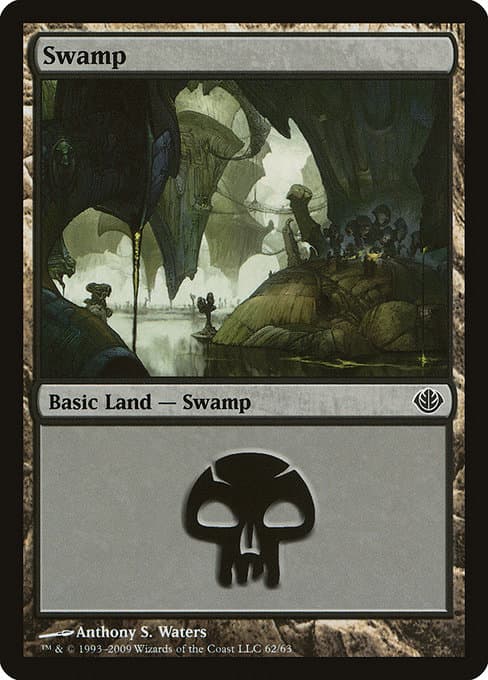 Swamp (Common)