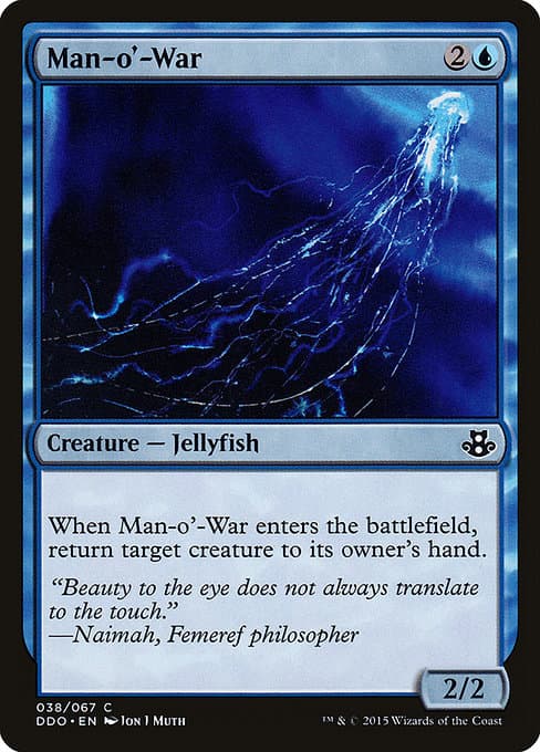 Man-o'-War (Common)