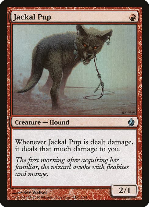 Jackal Pup (Uncommon)