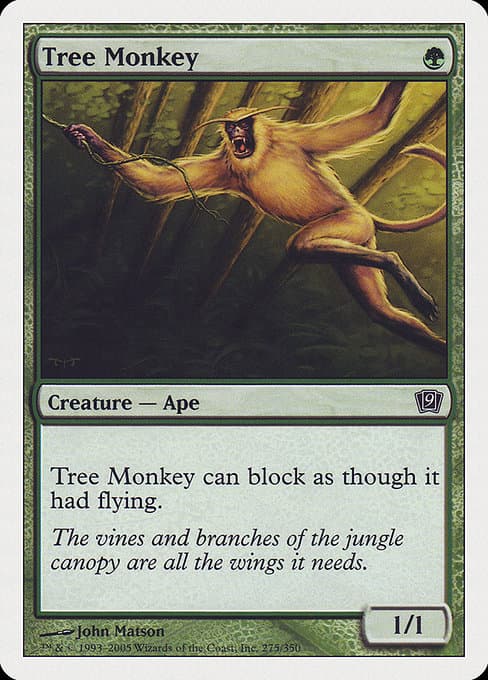 Tree Monkey (Common)
