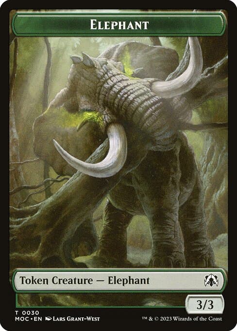 Elephant (Common)