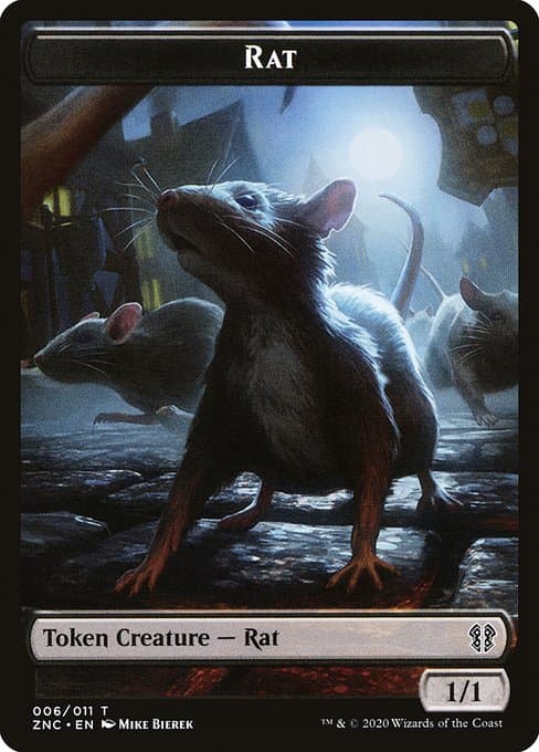Rat (Common)