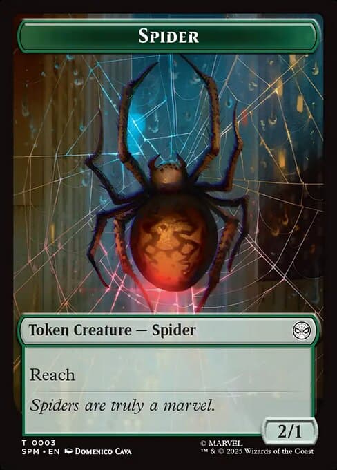 Spider (Common)