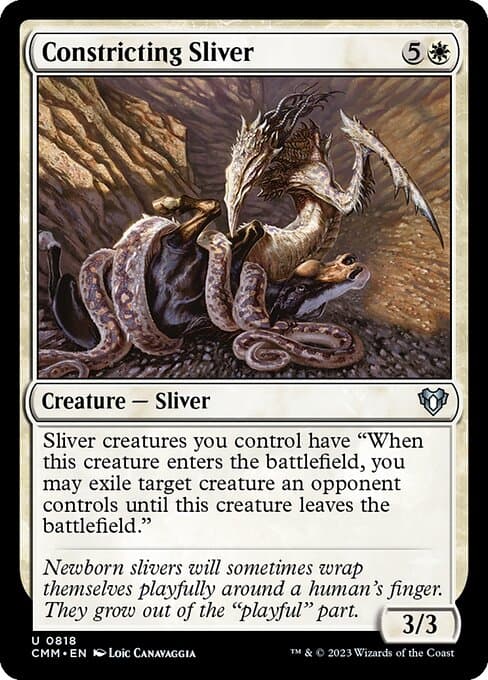 Constricting Sliver from Commander Masters (Uncommon)