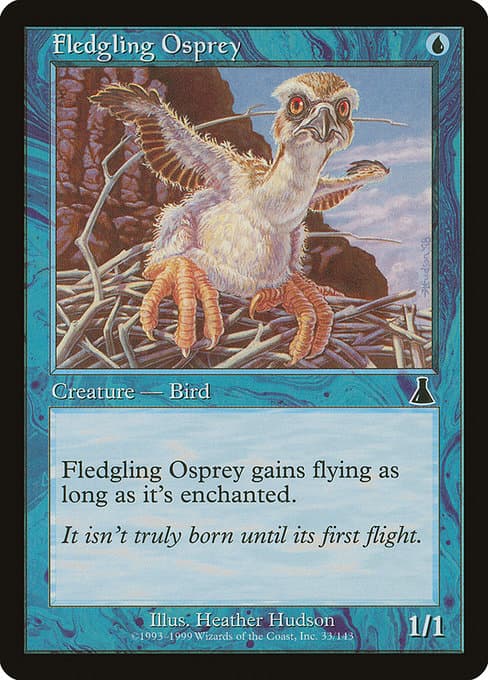 Fledgling Osprey from Urza's Destiny (Common)