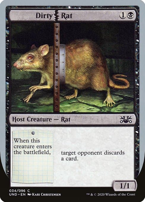 Dirty Rat (Common)