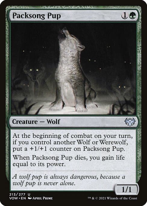 Packsong Pup from Innistrad: Crimson Vow (Uncommon)