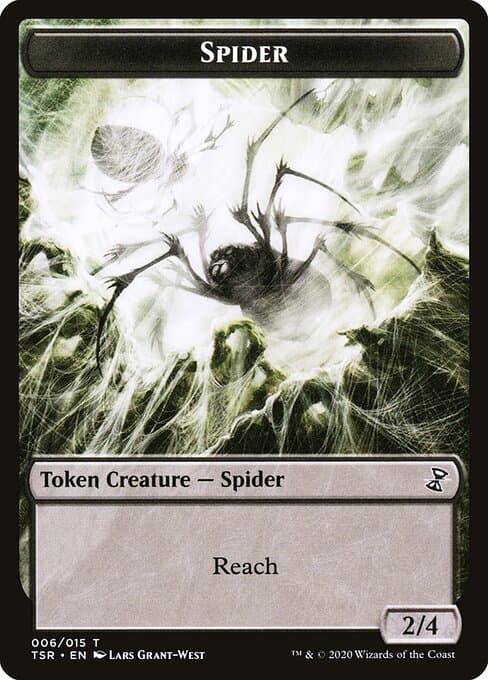 Spider (Common)