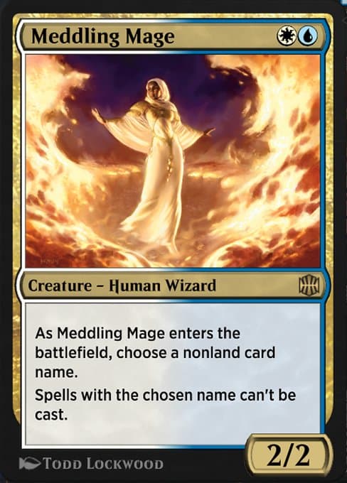 Meddling Mage (Rare)