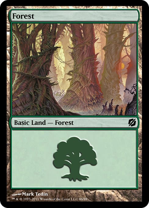 Forest (Common)