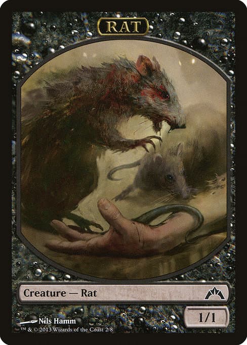 Rat (Common)