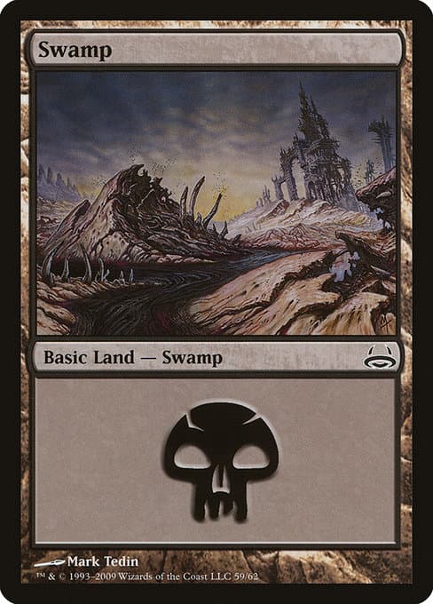 Swamp (Common)