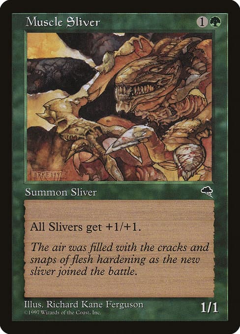 Muscle Sliver (Common)