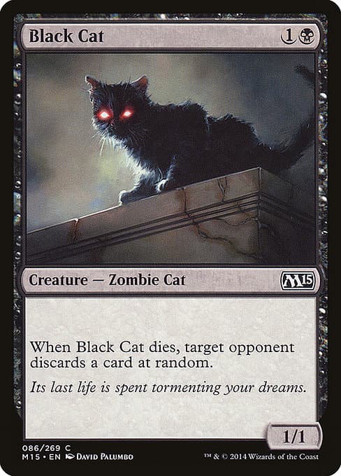 Black Cat from Magic 2015 (Common)