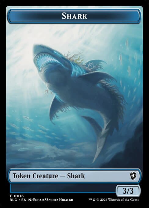 Shark (Common)