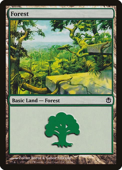 Forest (Common)