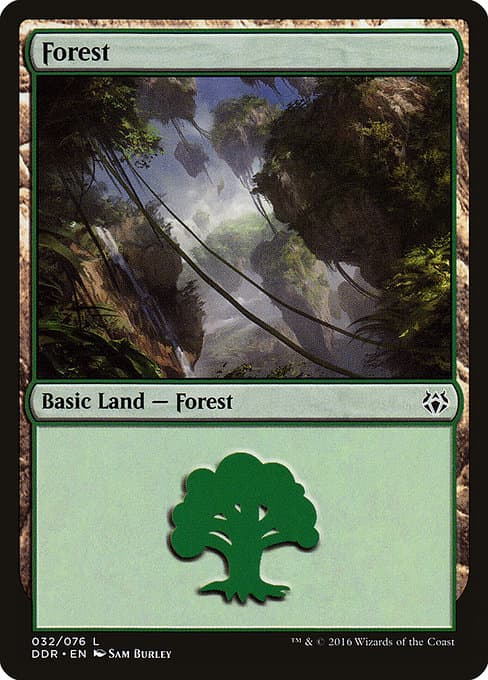 Forest (Common)
