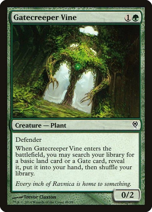 Gatecreeper Vine (Common)