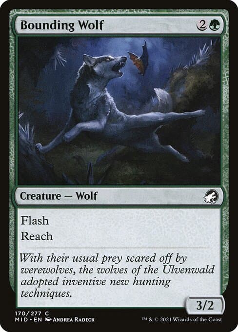 Bounding Wolf from Innistrad: Midnight Hunt (Common)