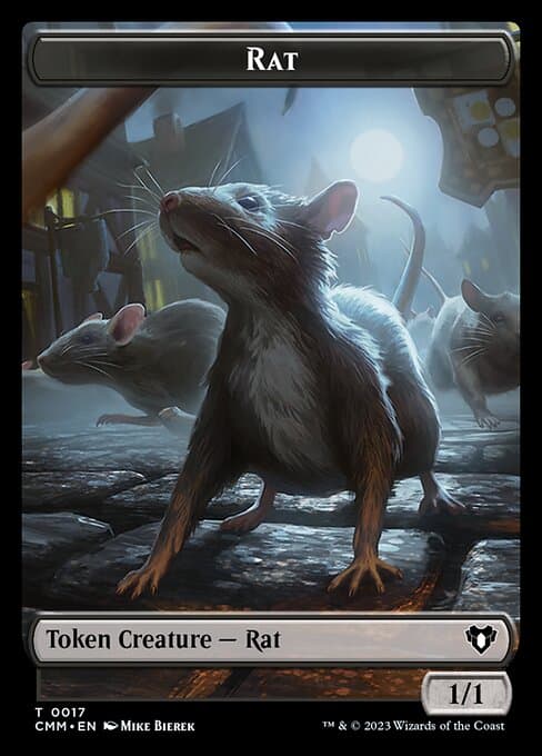 Rat (Common)