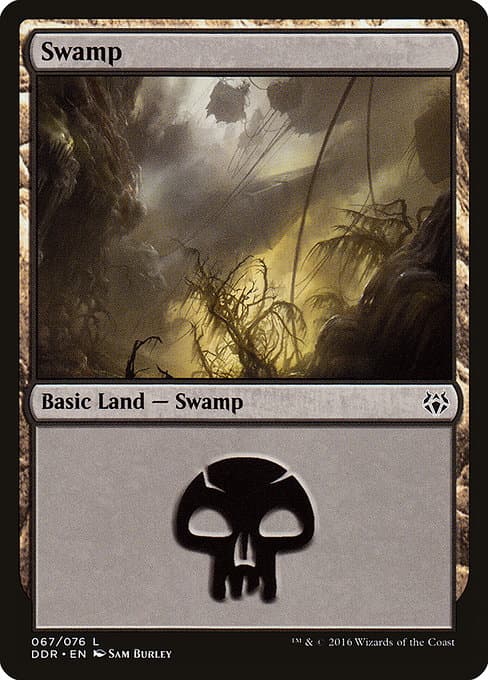 Swamp (Common)