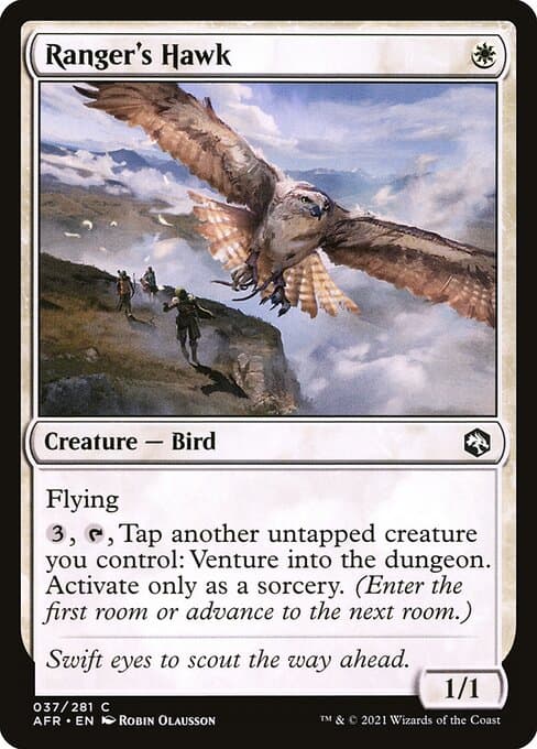 Ranger's Hawk from Adventures in the Forgotten Realms (Common)
