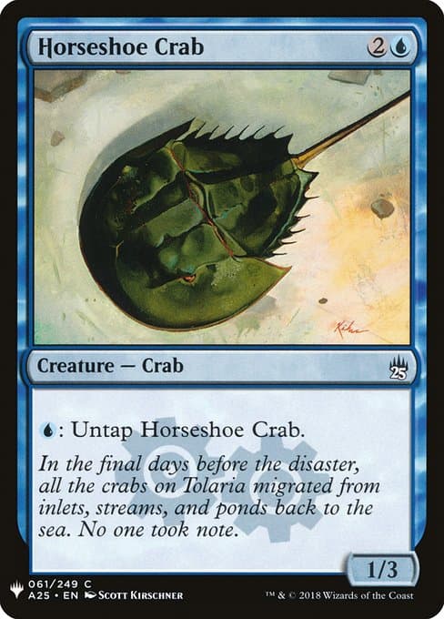 Horseshoe Crab from The List (Common)