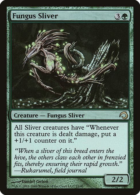 Fungus Sliver (Rare)
