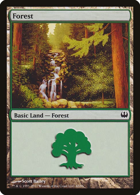 Forest (Common)