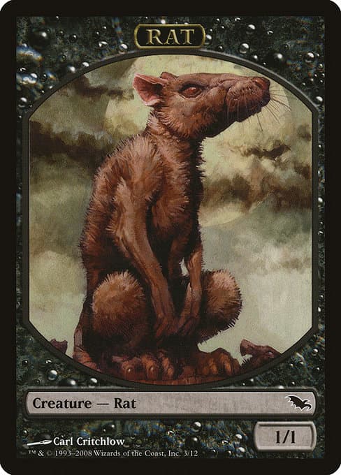 Rat (Common)