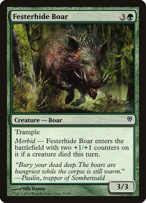 Festerhide Boar (Common)