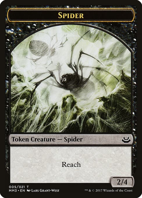 Spider (Common)