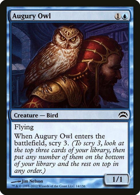Augury Owl from Planechase 2012 (Common)