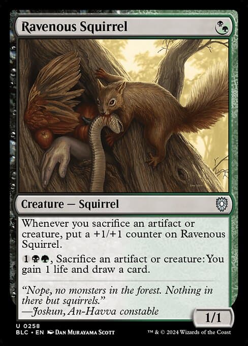 Ravenous Squirrel from Bloomburrow Commander (Uncommon)