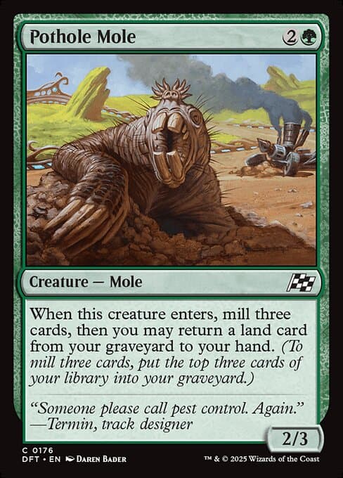 Pothole Mole (Common)