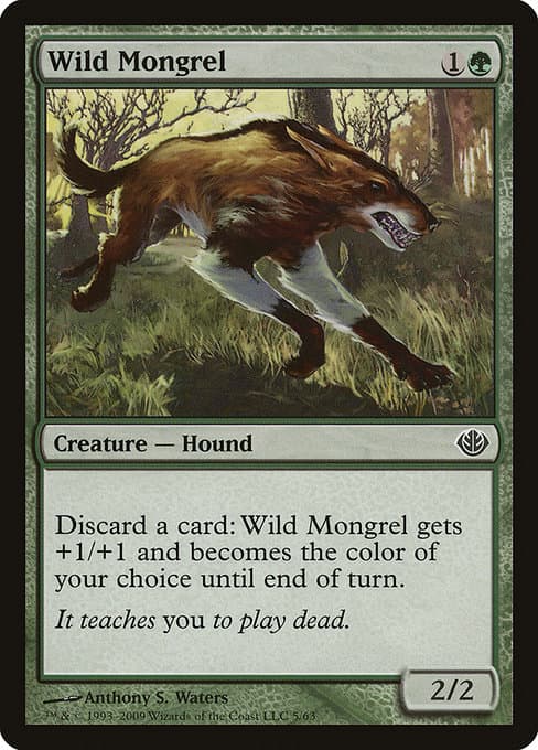 Wild Mongrel (Common)