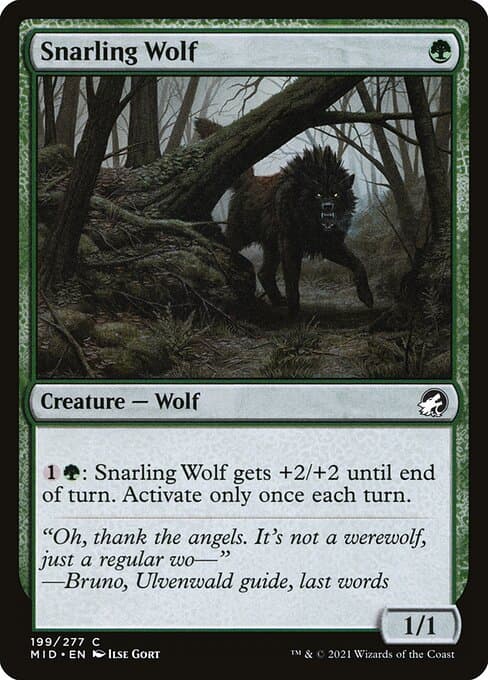 Snarling Wolf from Innistrad: Midnight Hunt (Common)