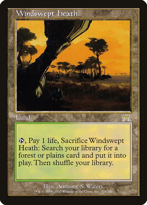 Windswept Heath from Onslaught (Rare)