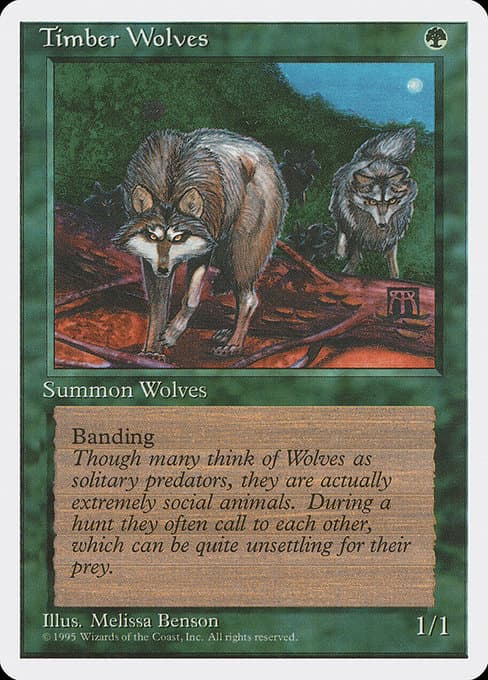 Timber Wolves from Fourth Edition (Rare)