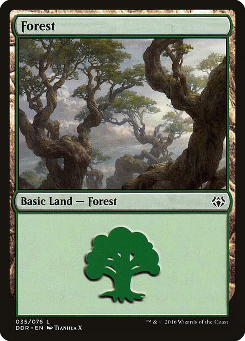 Forest (Common)