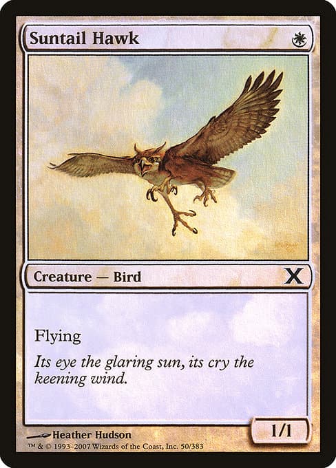 Suntail Hawk from Tenth Edition (Common)